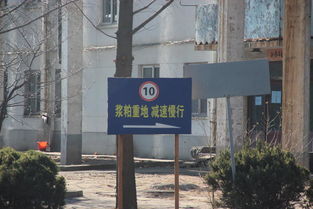 丹东知名企业 化纤厂