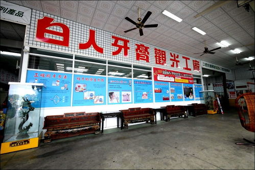 台湾工业旅游之特立独行的白人牙膏观光工厂