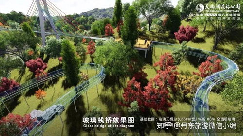丹东旅游 东北第一 天桥沟5d全景玻璃桥,刺激体验你敢来吗