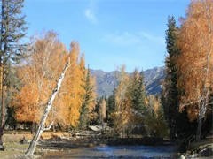 丹东旅行社 开启精彩的丹东之旅