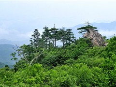 丹东旅游全攻略 探秘中朝边境的独特魅力